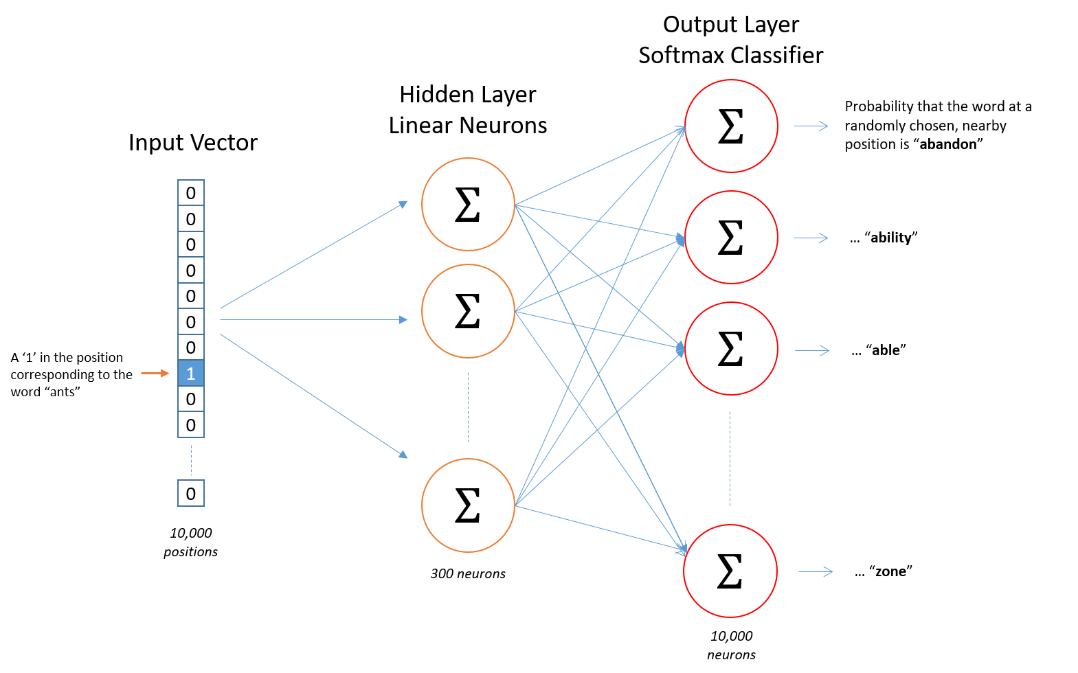 CBOW Neural Network Architecture